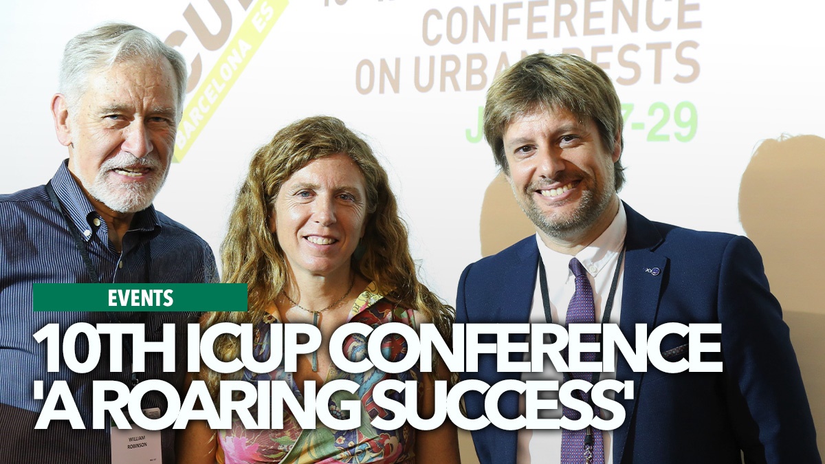 tenthicuproaringsuccess tenthicuproaringsuccess